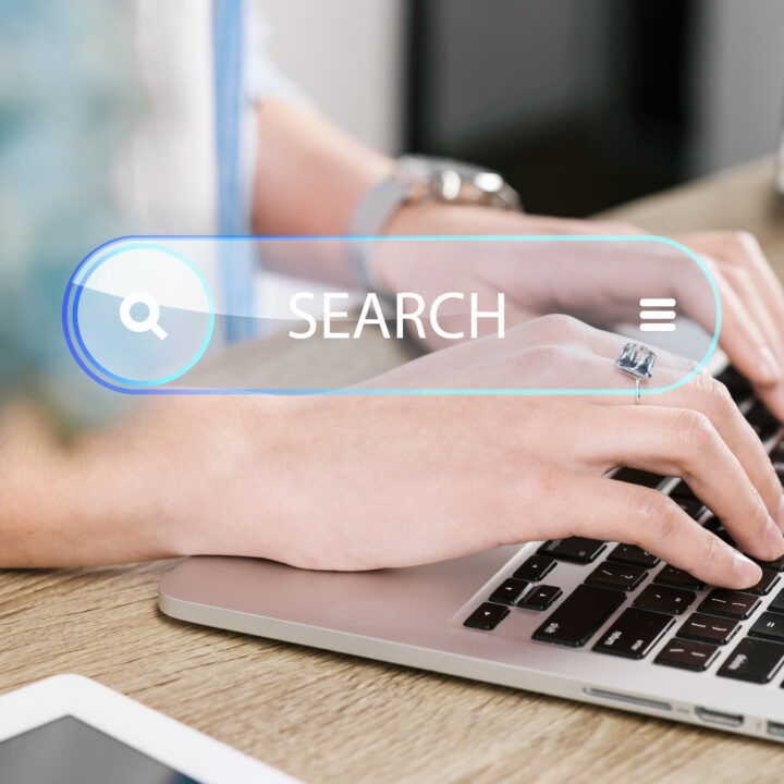 Warum ohne Traffic eine Unternehmenswebsite nichts wert ist! 6 homepage concept with search bar